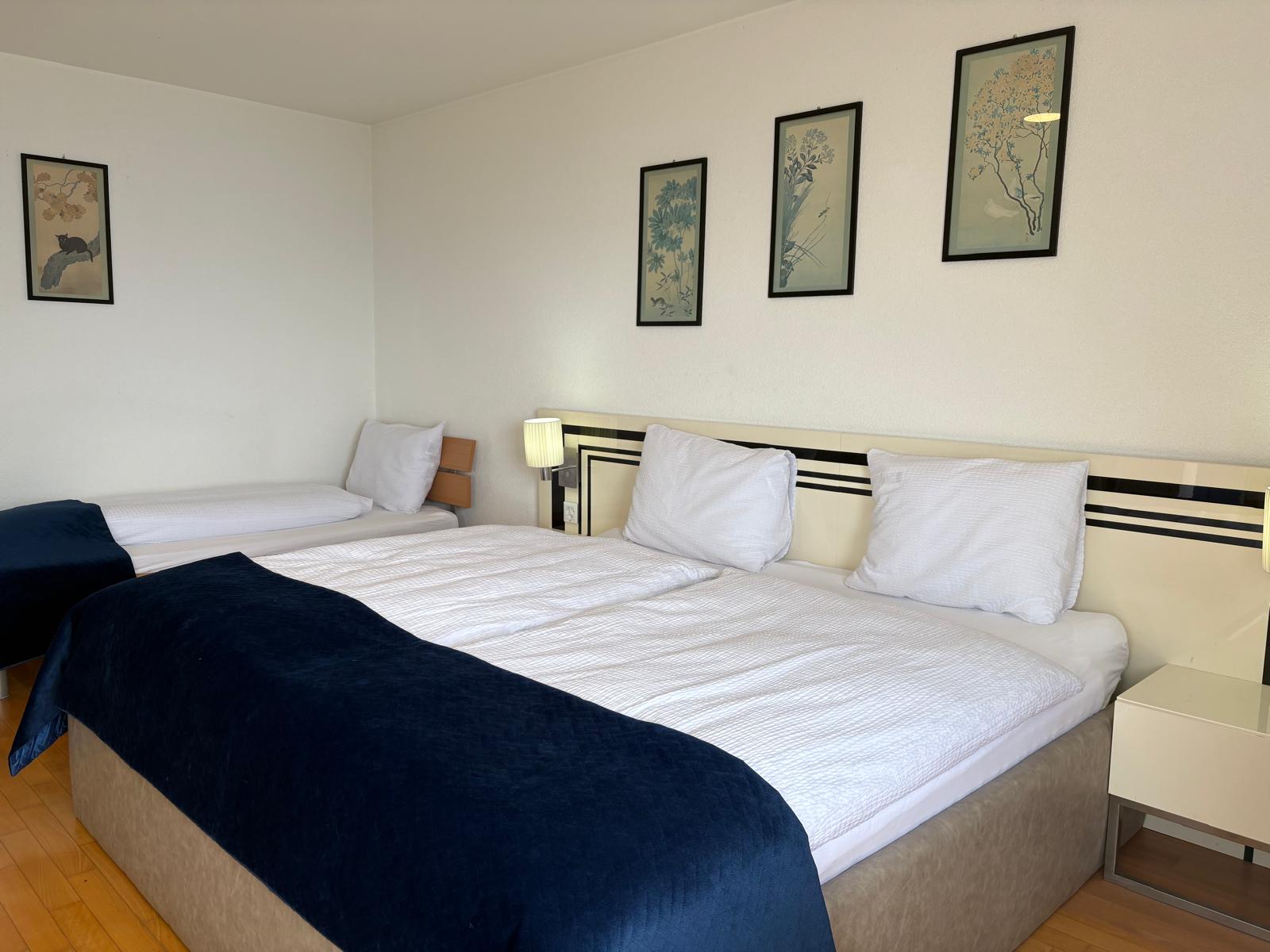 Triple Deluxe Apartment